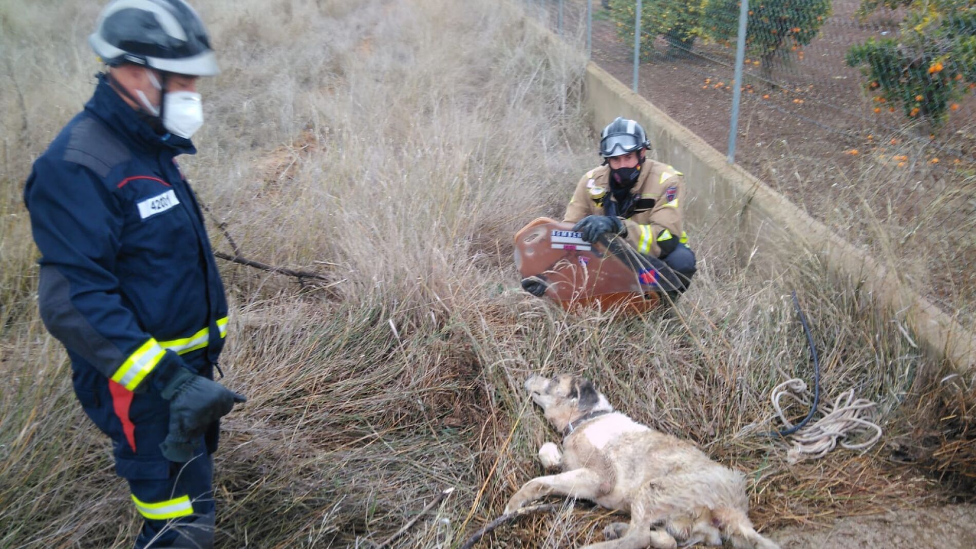 Los bomberos de Murcia rescatan a un perro atrapado en un pozo
