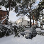 Los pinos de esta urbanización madrileña no aguantaron el peso de la nieve y se rompieron sobre los coches