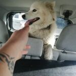 Laska tras ser rescatada
