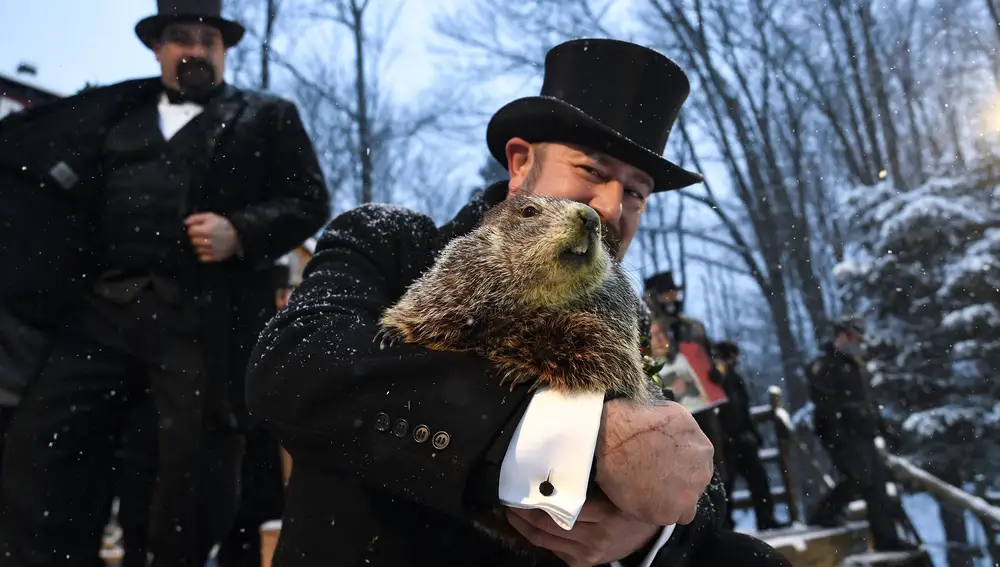 dia de la marmota