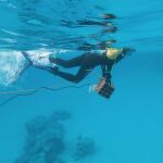 La contaminacion acustica perturba la vida en los oceanos