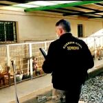 Agentes del Seprona de la Guardia Civil inspeccionan el criadero