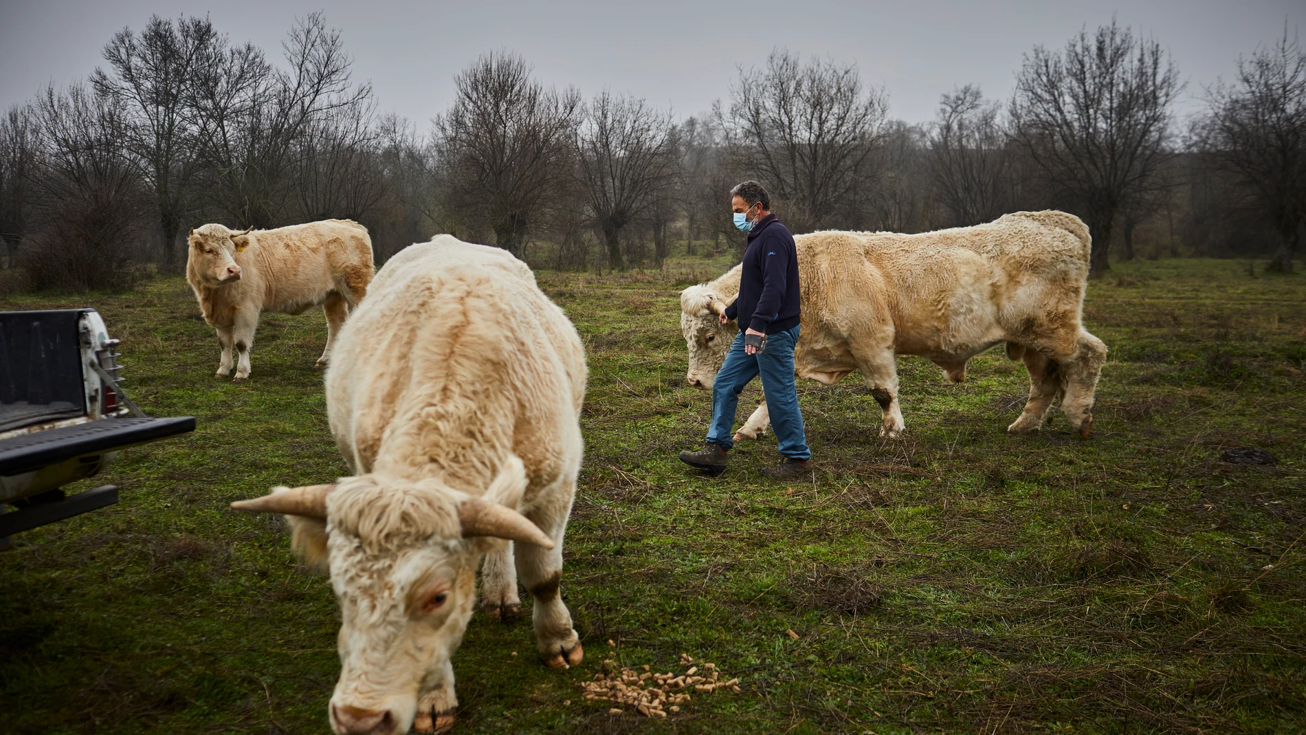 Reportaje sobre las ayudas de la Union Europea a la Agricultura y Ganadería, PAC (Política Agricola Común). En la imagen el ganadero Alberto Arroyo de Soto del Real