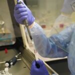 Entre las personas que seguían experimentando infecciones sintomáticas, los que recibieron casirivimab e imdevimab fueron capaces de eliminar el virus más rápidamente y se acortó la duración de los síntomas
