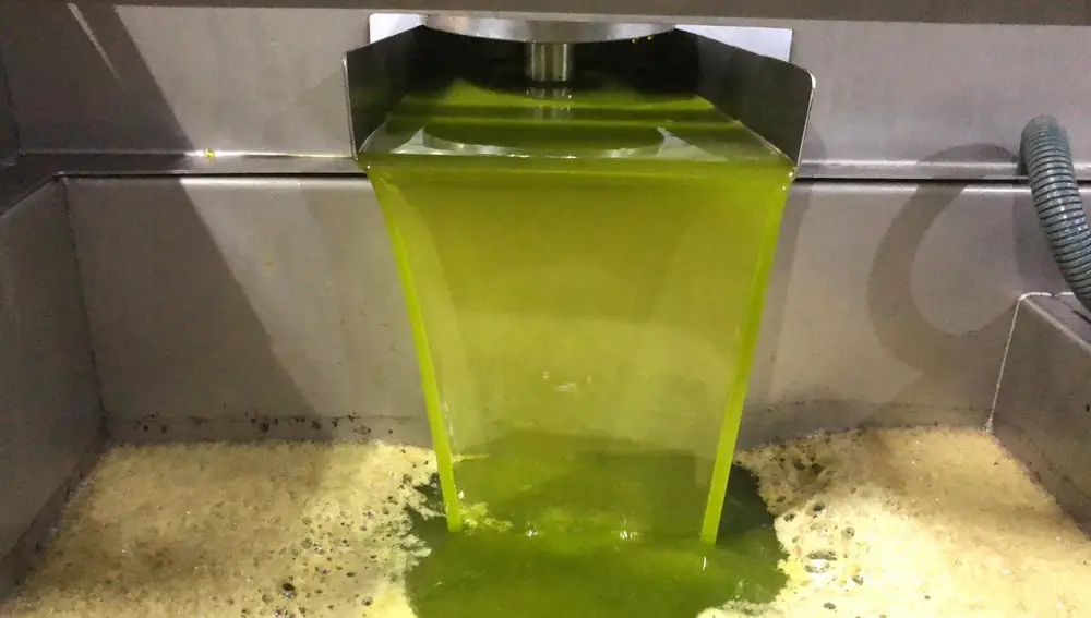 Producción de aceite de almazara