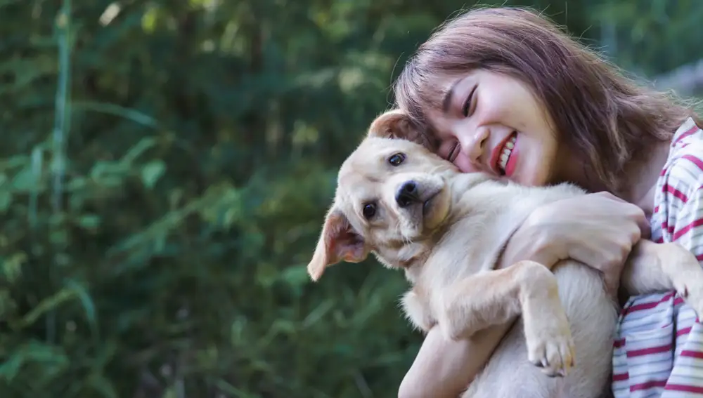 Consejos clave para una alimentación adecuada del cachorro