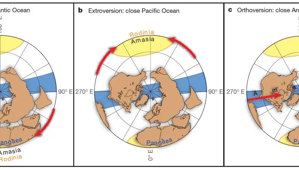 Tres posibles maneras de ensamblar el futuro supercontinente de Amasia. En estas imágenes, con el polo Norte en su centro, las zonas amarillas representan las regiones de ascenso de material desde el manto, actualmente localizadas bajo el Pacífico y bajo África. En la opción a la región del Pacífico siempre domina y todos los continentes se habrían ensamblado al otro lado del planeta. En la opción b siempre dominaría la región de ascenso que se forma bajo el supercontinente anterior; en el caso de la actualidad esa región es la africana, y por lo tanto Amasia se ensamblaría sobre el Pacífico, en el mismo sitio en que se habría ensamblado Rodinia hace 1000 millones de años. En la opción c ambas regiones se mantienen activas y mantienen a los continentes alejados de ellas, con lo que el nuevo supercontinente se forma a 90º de ambas zonas, sobre el polo norte. Si este mecanismo es correcto cada supercontinente se formaría con un ángulo de