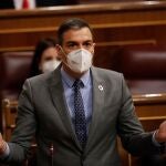 El Presidente del Gobierno, Pedro Sánchez, durante la sesión de control, este miércoles, en el Congreso de los diputados.