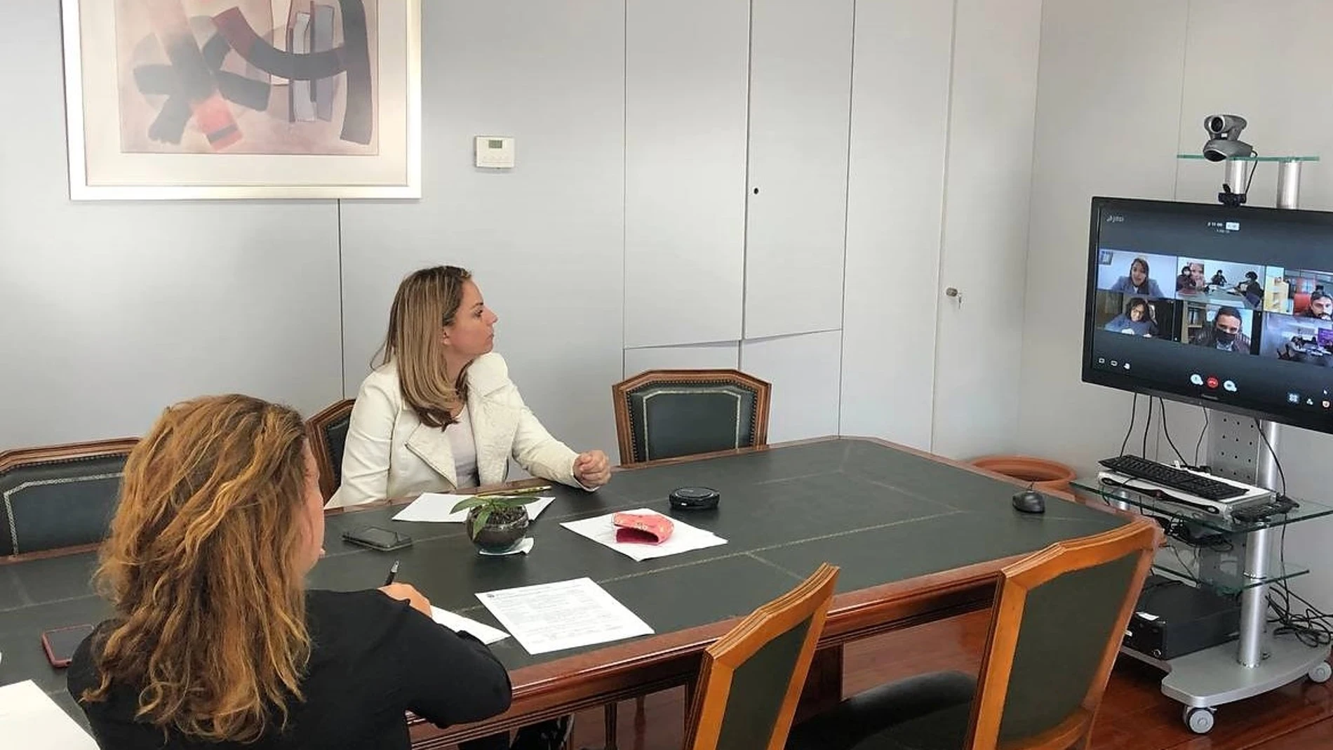 La consejera de Derechos Sociales del Gobierno de Canarias, Noemí Santana, mantiene una reunión telemática19/02/2021