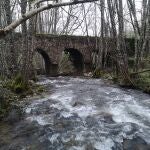 Riachuelo en los alrededores de La Alberca.