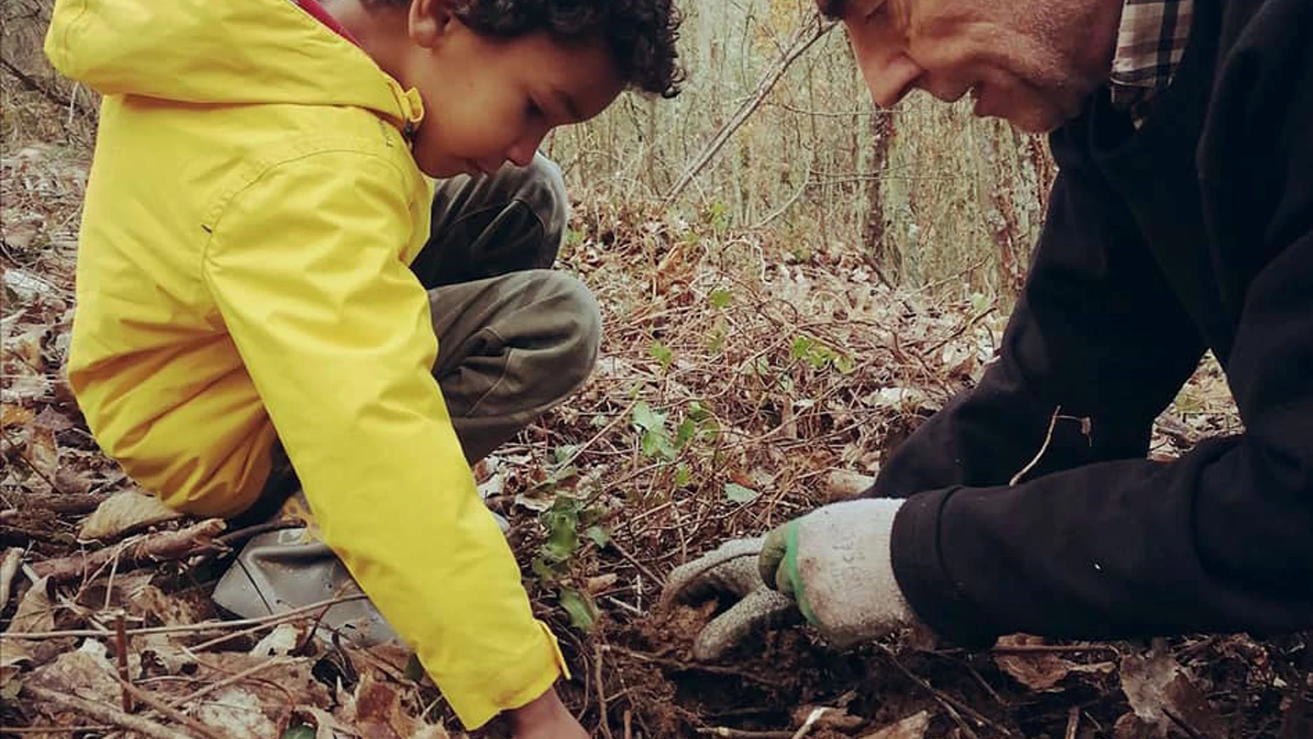 Voluntarios colaboran en la jornada de limpieza y plantación en el antiguo soto de castaños de Villar de los Barrios (León)