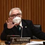 El ministro de Universidades, Manuel Castells, durante una comparecencia en la Comisión de Ciencia, Innovación y Universidades
