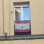 Debajo de esta bandera viven Pablo Echenique y su pareja