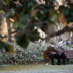 Imagen de una pareja de la tercera edad en el parque del Retiro