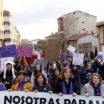 Manifestación del 8M del pasado año por las calles de Segovia