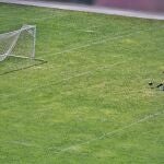 En el fútbol de fantasia, se aisla cada jugador según su rendimiento individual.
