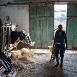 Nuevas ayudas a las explotaciones agrarias de la Comunidad