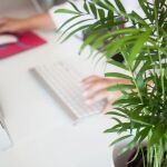No solamente se tuvieron que quedar los padres a trabajar en casa, también lo tuvieron que hacer los hijos. El confinamiento trajo la escuela online que unos colegios sortearon mejor que otros.