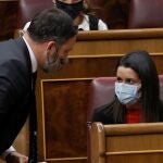 El líder de Vox Santiago Abascal, y la líder de Ciudadanos Inés Arrimadas, durante el pleno del Congreso de los Diputados en la sesión de control al Gobierno