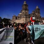MEX6643. CIUDAD DE MÉXICO (MÉXICO), 09/03/2021.- Activistas del Movimiento Cannábico Mexicano y ciudadanos en general marchan hoy en el Zócalo de Ciudad de México (México). Activistas del Movimiento Cannábico Mexicano y consumidores marcharon este martes para exigir a los legisladores una ley de consumo lúdico que respete sus derechos, horas antes de que la Cámara de Diputados vote este miércoles el dictamen que regula el uso recreativo de la marihuana. "Es uno de los principales reclamos que tenemos y uno de nuestros lemas: primero los derechos, después el mercado", explicó a Efe el activista Orlando Pacheco. EFE/Carlos Ramírez