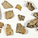 Fragmentos de los manuscritos del Mar Muerto, hallados en Judea