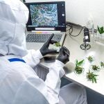 Los autores advierten contra la autoadministración de CBD para tratar la Covid-19, alegando preguntas aún pendientes con la dosis óptima, la formulación y el modo de administración