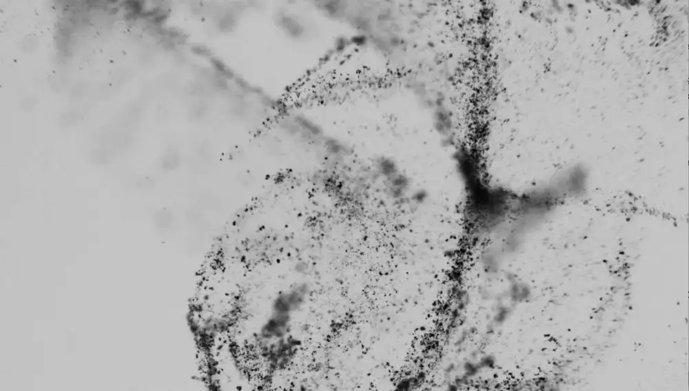 Los nanorobots en movimiento