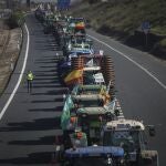 Tractorada organizada por agricultores contra el Ministerio de Agricultura