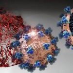 Identifican fármacos potencialmente capaces de reducir la mortalidad de la Covid-19