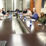 La consellera de Sanidad, Ana Barceló, esta tarde durante la reunión con los representantes del mundo fallera