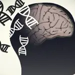 Estas dos señales tempranas delatan a la enfermedad de Parkinson hasta 10 años antes del diagnóstico