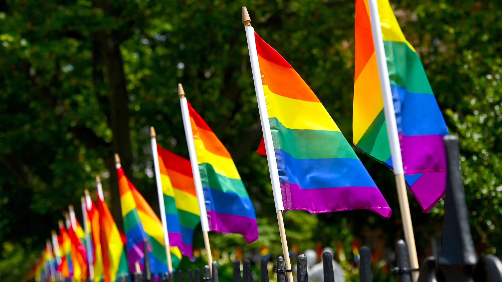 Banderas LGTBI.