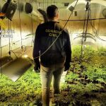 Cuatro detenidos tras localizarse dos plantaciones 'indoor’ de marihuana con 573 plantas en Cubillos del Sil (León)