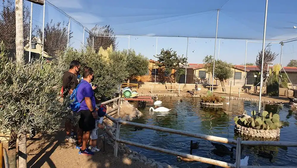 Centro "Las eras de las aves" en Fresno el Viejo