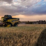 Muchos productores están dejando de contratar seguros, según Asaja