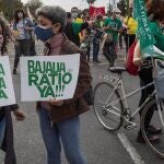 Miembros de la comunidad educativa durante una manifestación en Sevilla