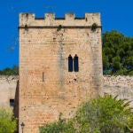 Imagen del castillo de Dénia, desde el cual se arrojó la mujer, que en aquel momento temía 34 años, con su bebé