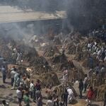 Funeral múltiple de víctimas de la covid en Nueva Delhi