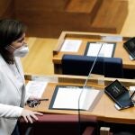 La portavoz del grupo popular, Isabel Bonig