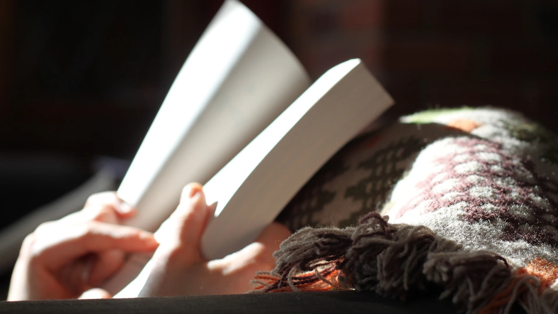 Las viviendas deben ser un espacio tranquilo en el que poder descansar o teletrabajar sin ruidos molestos del exterior