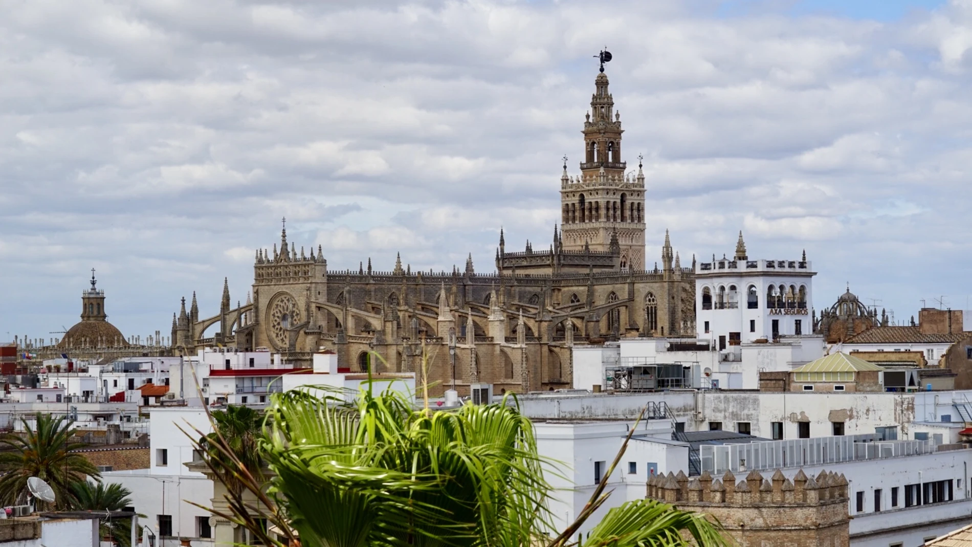 Vista de la Catedral de Sevilla desde la Torre del Oro