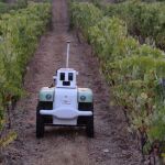 Investigadores de la Politécnica de València presentan VineScout, el robot de observación para la viticultura del futuro