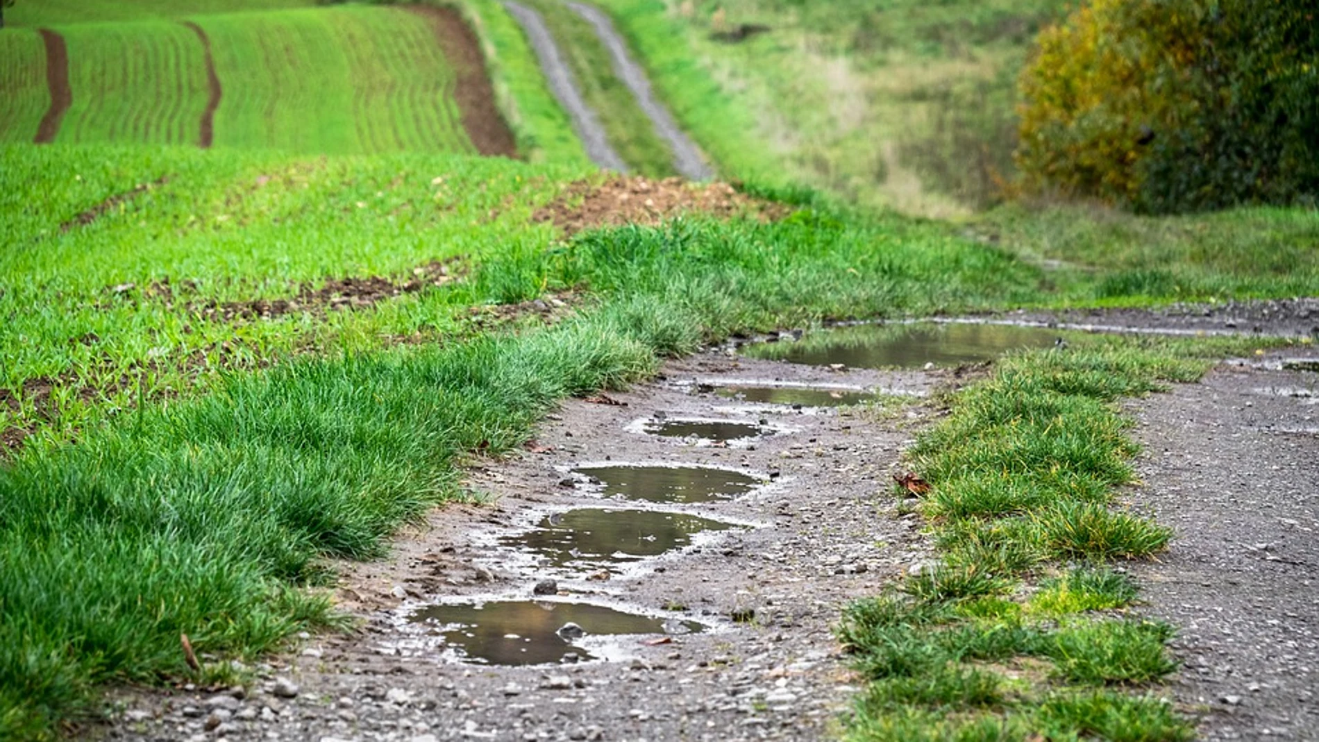 El borrador plantea que cualquier charco de lluvia sea considerado humedal.