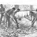 Presos trabajando en un campo de concentración republicano