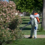 Un operario inicia las labores de fumigación y el tratamiento en imbornales contra el mosquito para prevenir el virus del Nilo