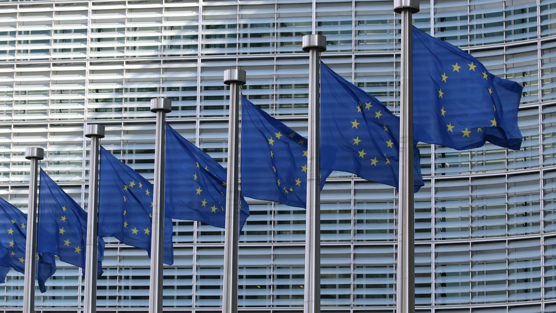 En la imagen, varias banderas de la UE | Fuente: GUILLAUME PERIGOIS/UIMP