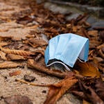 15/11/2020. © Jesús G. Feria.Imagen de una mascarilla tirada en el suelo entre hojas en el Parque del Retiro.