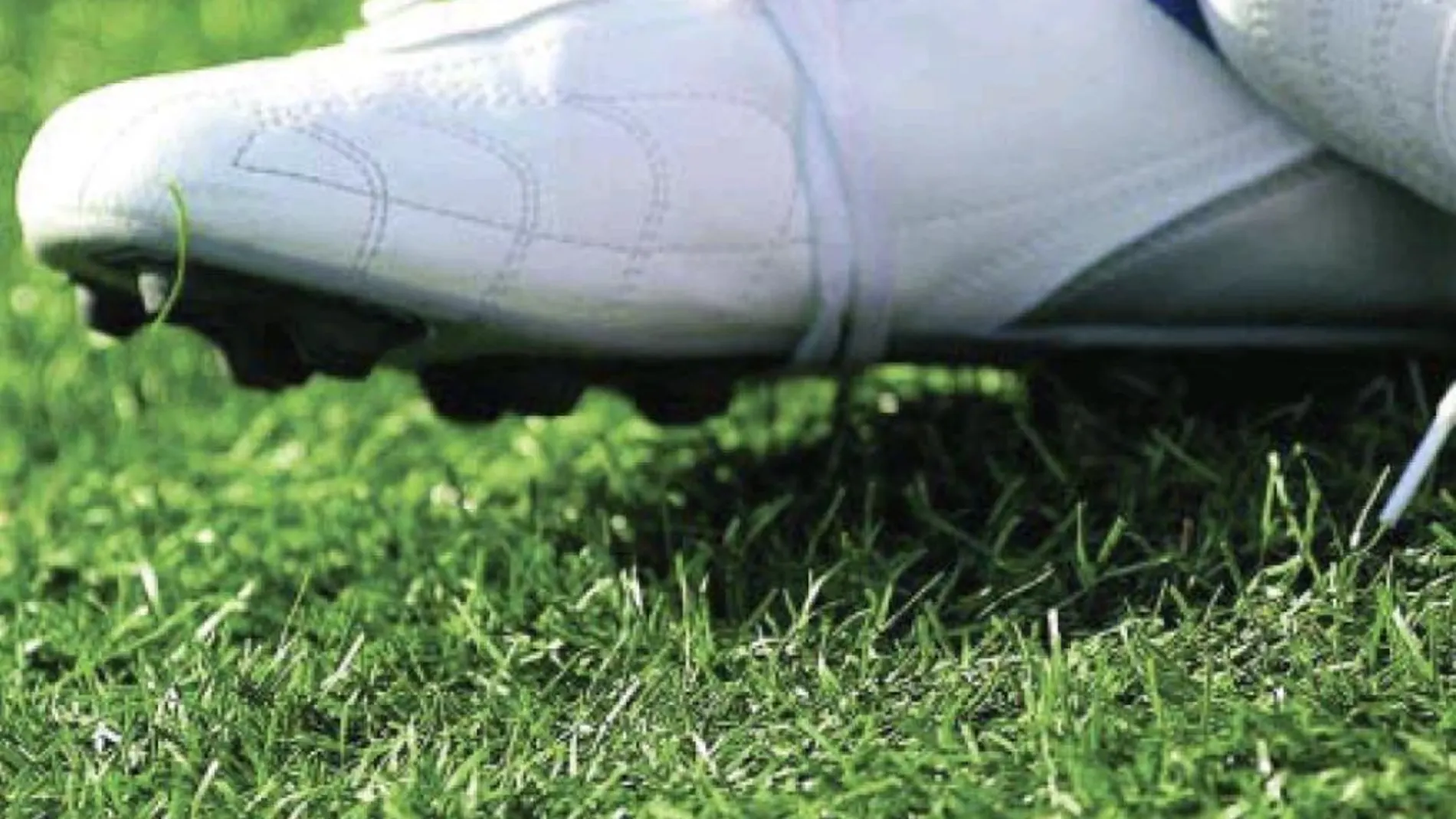 Detalle césped artificial