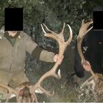 Investigados seis personas por organizar batidas de caza en Ávila, Segovia y Toledo