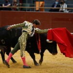 Toros en Vistalegre